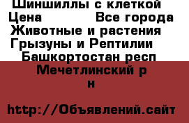 Шиншиллы с клеткой › Цена ­ 8 000 - Все города Животные и растения » Грызуны и Рептилии   . Башкортостан респ.,Мечетлинский р-н